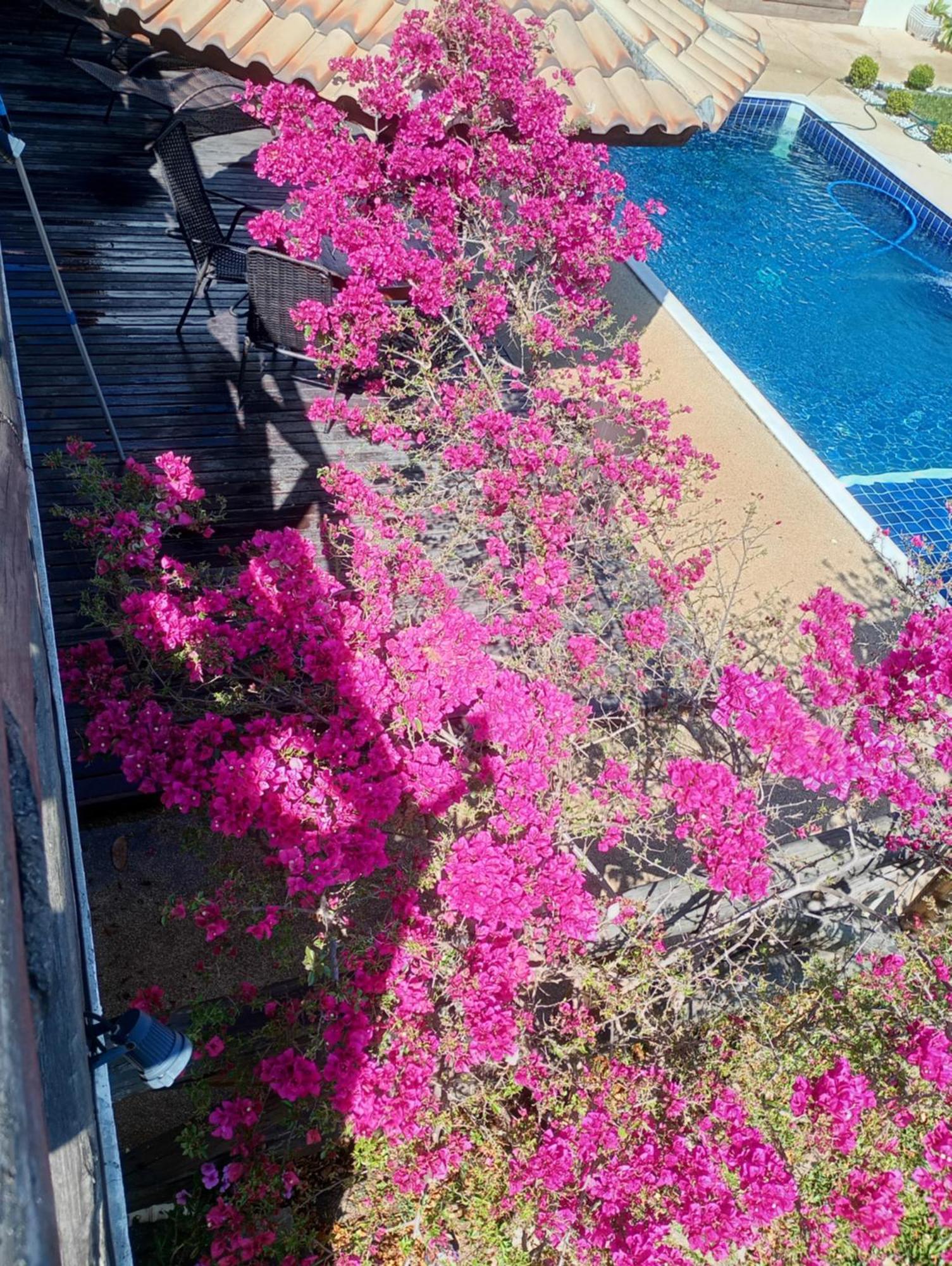Villa Chacara Alto Padrao Em Igaratá Exterior foto